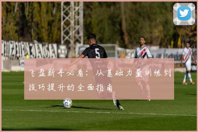 飞盘新手必看：从基础力量训练到技巧提升的全面指南