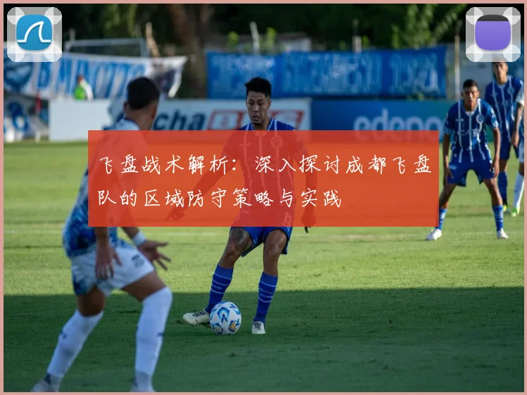 飞盘战术解析：深入探讨成都飞盘队的区域防守策略与实践